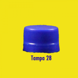tampa 28